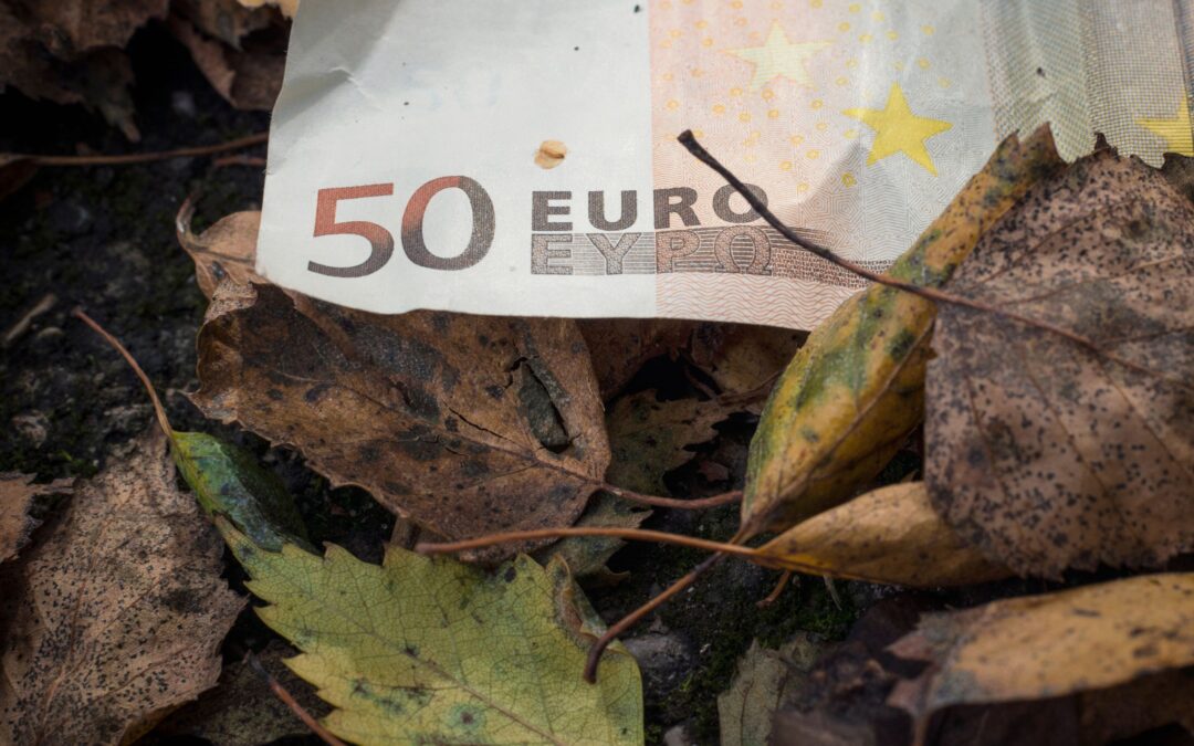 Überleben mit 50 Euro